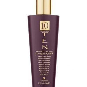 Alterna Ten Perfecting Conditioner Hoitoaine 250 ml