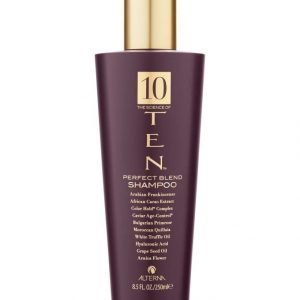 Alterna Ten Perfecting Shampoo 250 ml