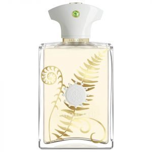 Amouage Bracken Man 100 Ml Eau De Parfum