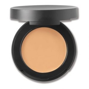 Bare Minerals Spf 20 Correcting Concealer Peitevoide