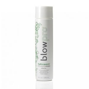 Blowpro Hydra Quench Schampoo