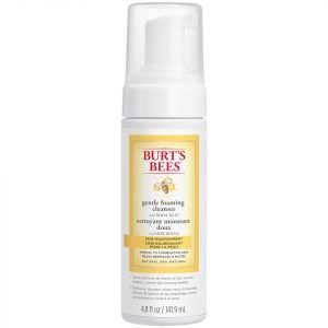 Burt's Bees Skin Nourishment Gentle Foaming Cleanser 141.9 Ml