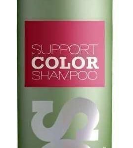 DS Support Color Shampoo