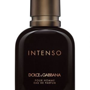 Dolce & Gabbana Pour Homme Intenso Eau De Parfum Tuoksu Miehelle 40 ml