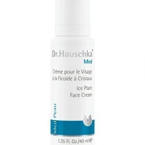 Dr. Hauschka Jääruoho Kasvovoide 40 ml