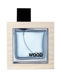 Dsquared2 HeWood Ocean Wet Wood EdT 100ml