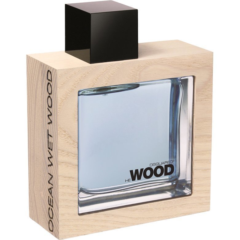 Dsquared2 HeWood Ocean Wet Wood EdT EdT 100ml