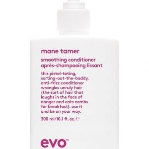 Evo Mane Tamer Silottava Hoitoaine 300 ml