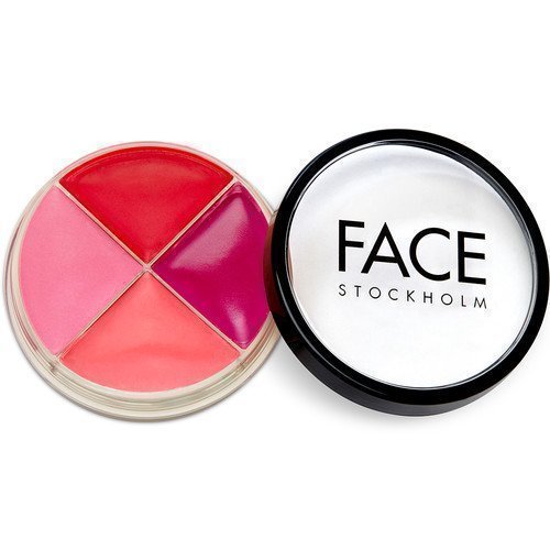 FACE Stockholm Smart Face Bright Color Wheel