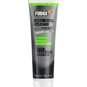 Fudge Cool Mint Purify Hoitoaine 300 ml