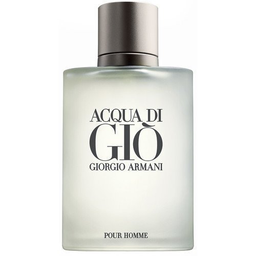 Giorgio Armani Acqua Di Gio Pour Homme EdT 100 ml