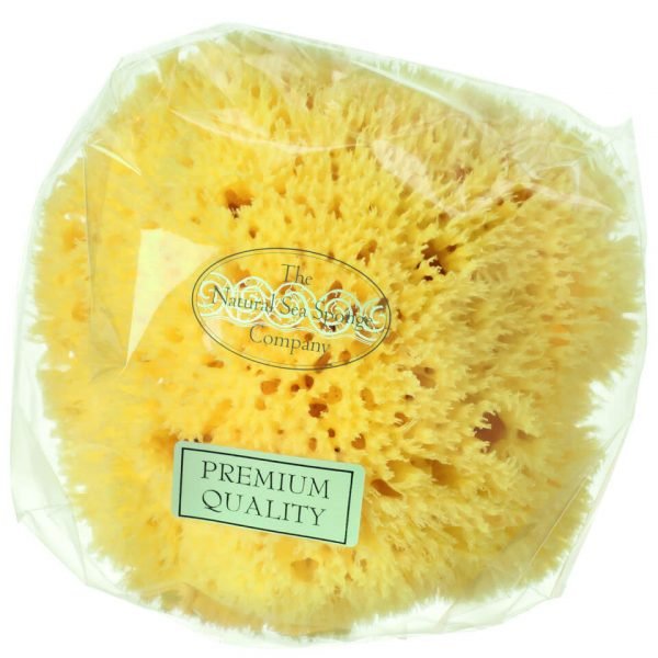 Hydrea London Honeycomb Sea Sponge