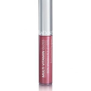 Isadora Multi Vitamin Gloss Huulikiilto Raisin