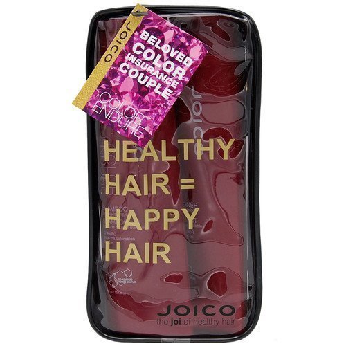 Joico Color Endure Duo