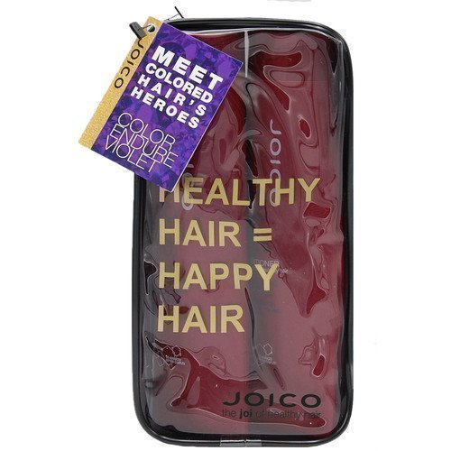 Joico Color Endure Violet Duo