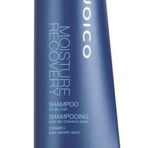 Joico Moisture Recovery Shampoo - New