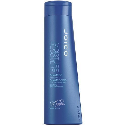 Joico Moisture Recovery Shampoo