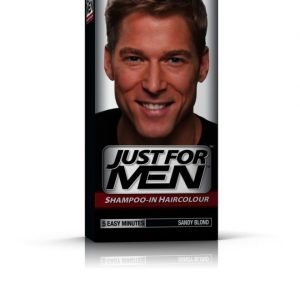 Just For Men Sandy Blond - Hair