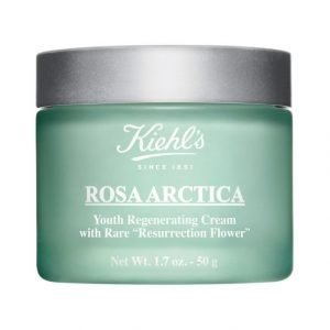 Kiehl's Rosa Arctica Cream 50 ml Kosteusvoide