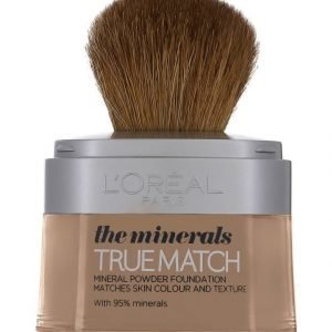 L'Oréal Paris True Match Mineral Mineraalimeikkivoide 10 g