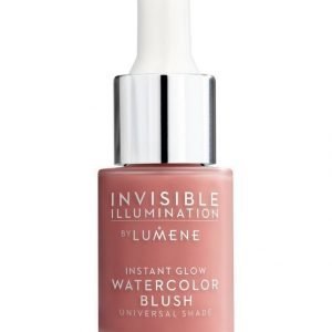 Lumene Invisible Illumination Instant Glow Watercolor Blush Poskipuna 15 ml