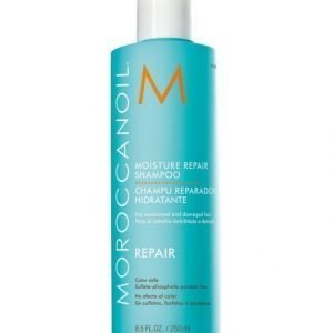 Moroccanoil Moisture Repair Shampoo 250 ml