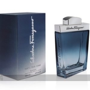 Salvatore Ferragamo Salvatore Ferragamo Subtil Edt 100ml