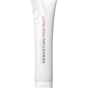 Sebastian Penetraitt Masque Tehohoito 150 ml