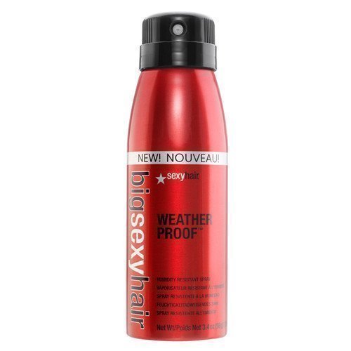 Sexy Hair Big Weather Proof