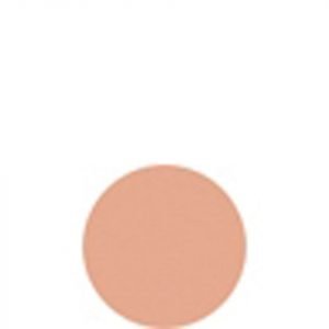 Shiseido Matifying Compact Oil Free 11g 20 Light Beige