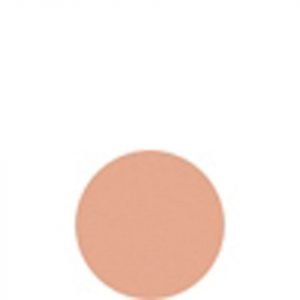 Shiseido Matifying Compact Oil Free 11g 20 Light Beige