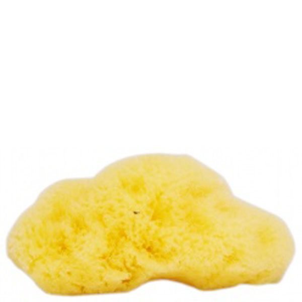 The Natural Sea Sponge Company Fina Silk Sea Sponge Approx 3 Inches