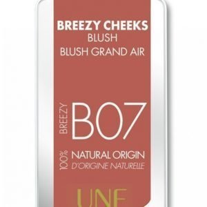 Une Breezy Cheeks Blush 3