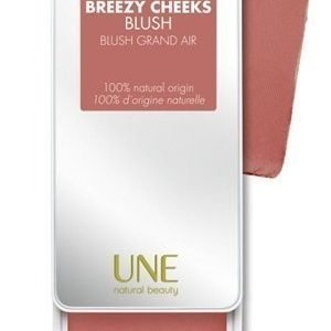 Une Breezy Cheeks Blush B06