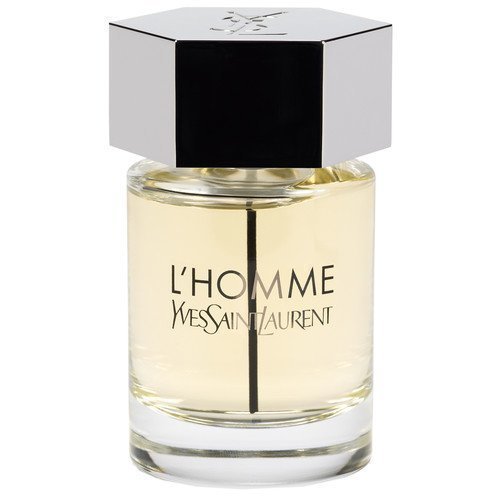 Yves Saint Laurent L'Homme EdT 100 ml