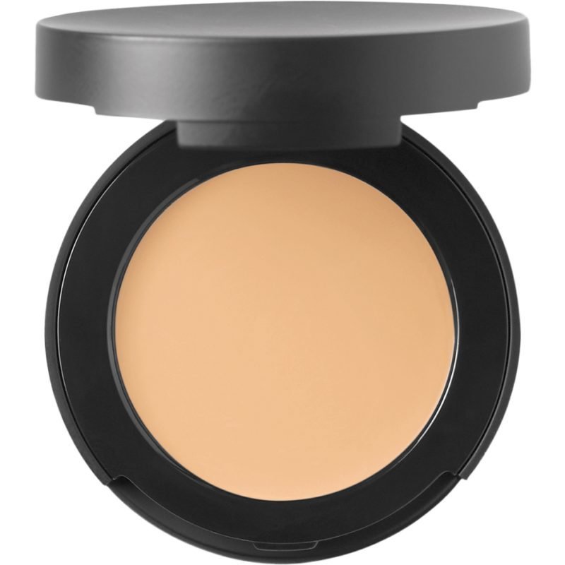 bareMinerals Correcting Concealer SPF20 Light 2 2g